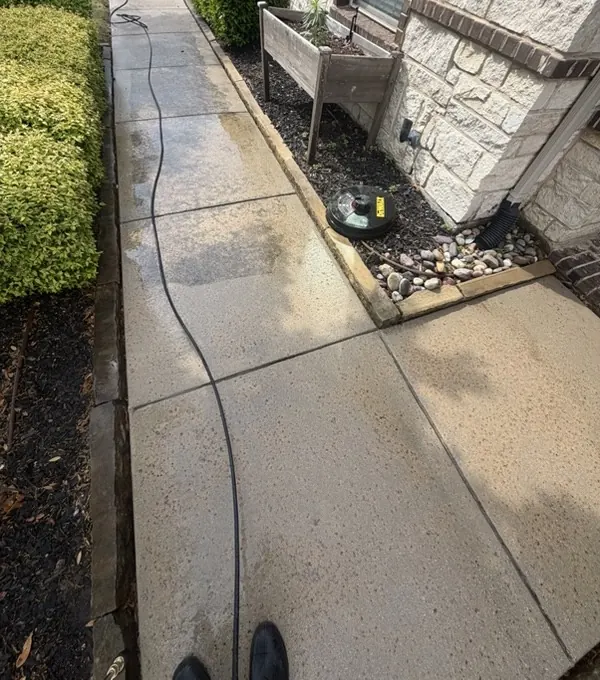 Side-yard path, half cleaned to show the difference