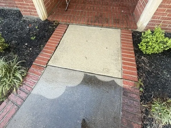 Front path mid-clean, half cleaned to show the difference