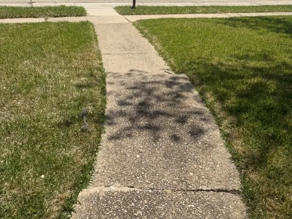 Sidewalk edging, before cleaning