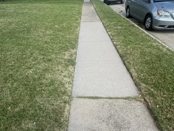 Front walk edging, after cleaning