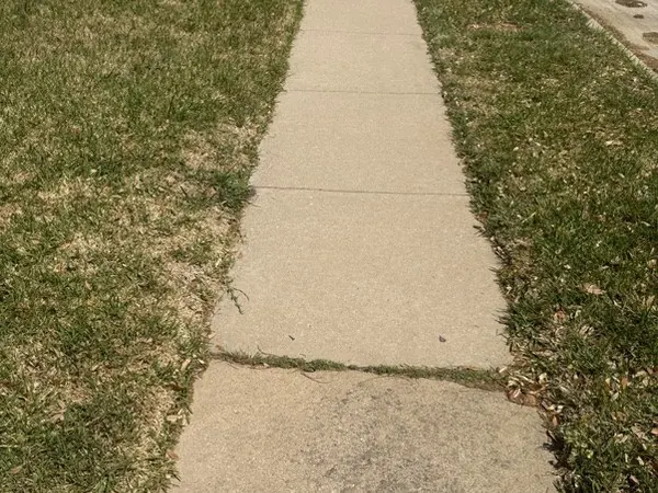 Front walk edging, before cleaning