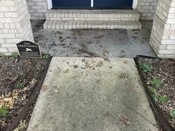 Entry walk and steps, before cleaning