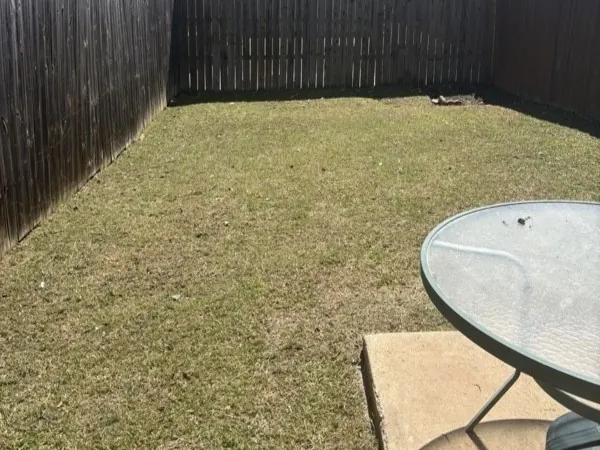 Backyard mow and cleanup, after cleaning