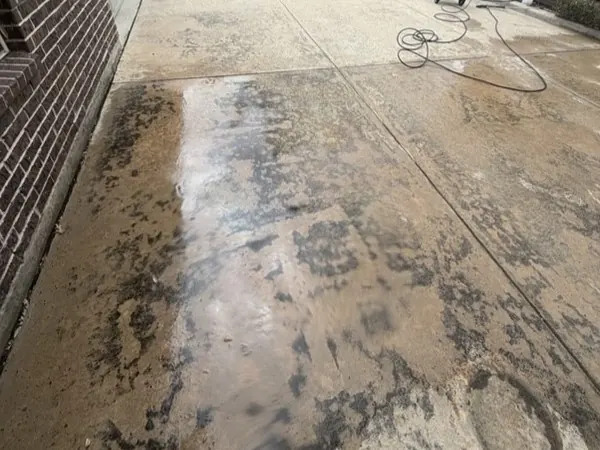 Concrete patio slab, before cleaning