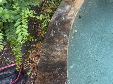 Pool deck coping, before cleaning
