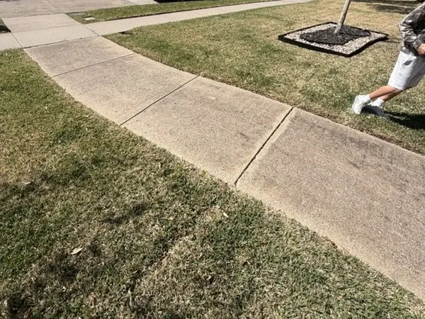 Public sidewalk, before cleaning