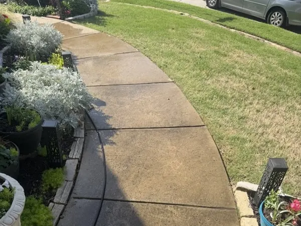 Curved front walkway, before cleaning