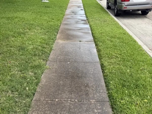 Front walkway, before cleaning