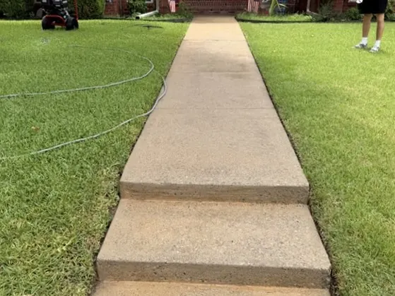 Walkway and steps, after cleaning