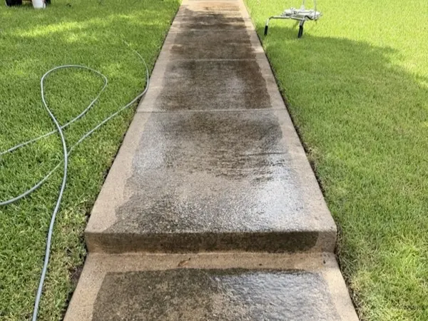 Walkway and steps, before cleaning