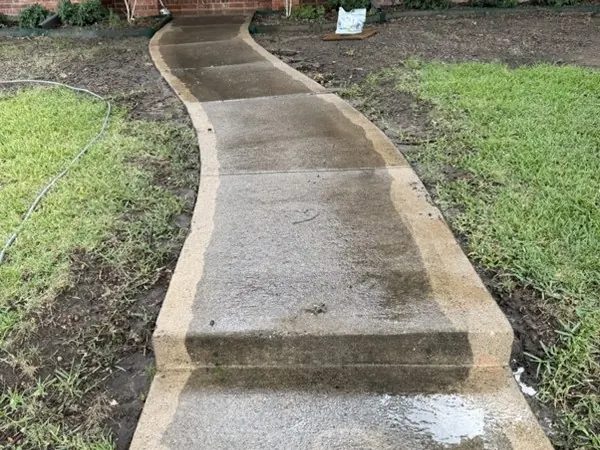 Winding garden path, before cleaning