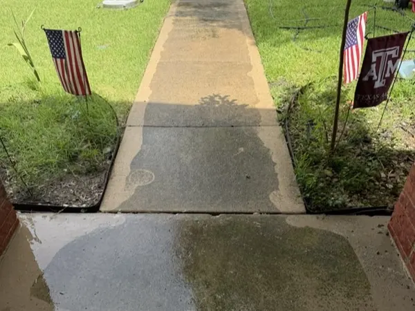 Walkway to the front door, before cleaning
