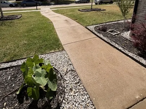Front walk through the beds, after cleaning