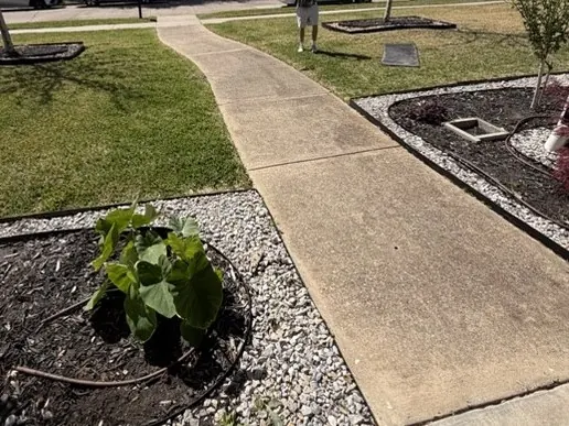 Front walk through the beds, before cleaning