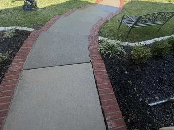 Brick-bordered walk, second angle, after cleaning