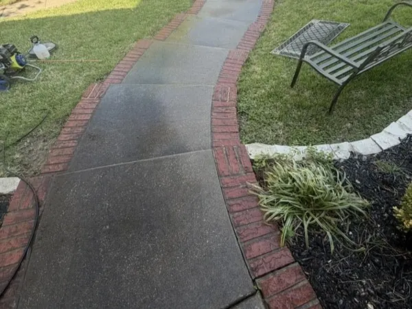 Brick-bordered walk, second angle, before cleaning